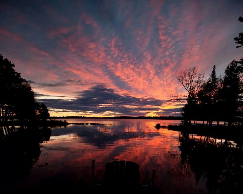 Little Hawk Resort & Marina Algonquin Highlands Esterno foto
