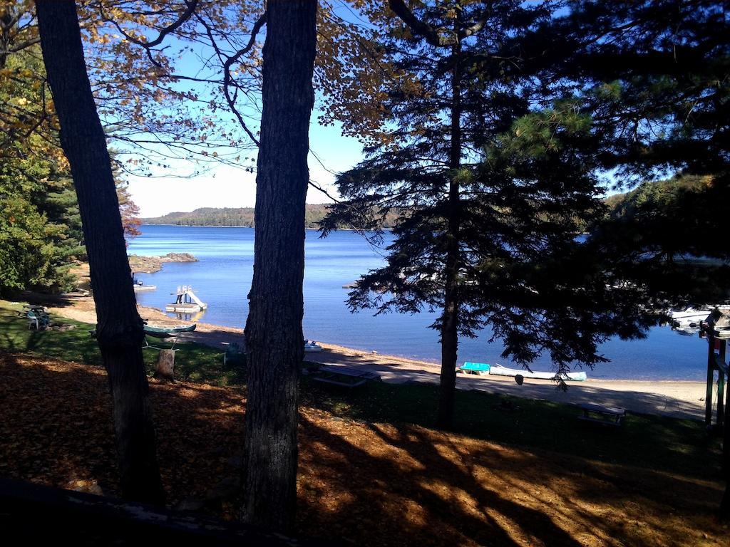 Little Hawk Resort & Marina Algonquin Highlands Esterno foto