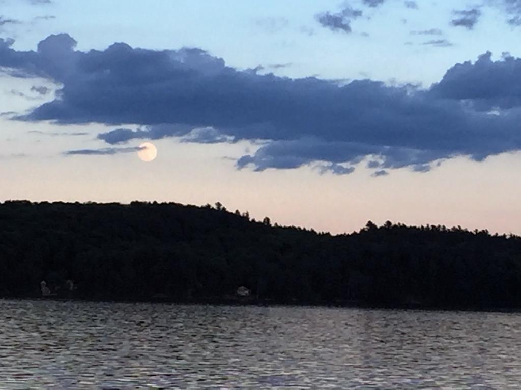 Little Hawk Resort & Marina Algonquin Highlands Esterno foto